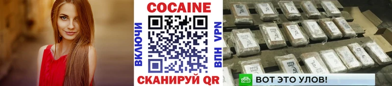 Купить закладки  Городец  Cocaine 99% 