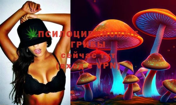 молекула духа Карталы