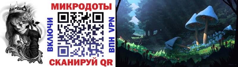 Купить где  Городец  Псилоцибиновые грибы ЛСД 